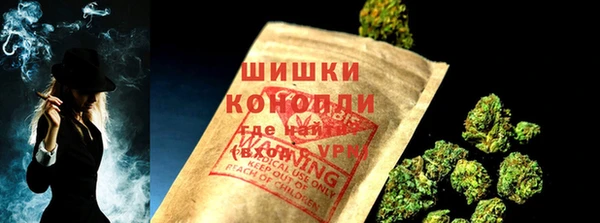 индика Бронницы