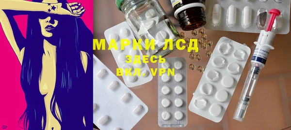 индика Бронницы