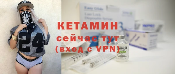 индика Бронницы