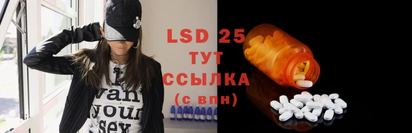 индика Бронницы