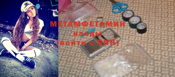 индика Бронницы