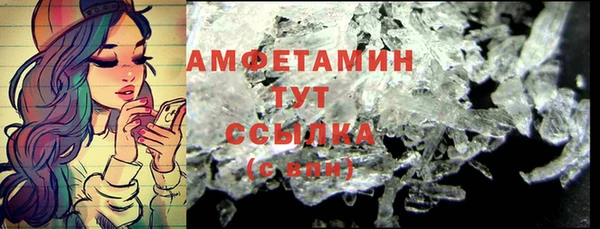 индика Бронницы