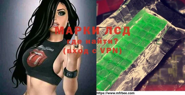 индика Бронницы