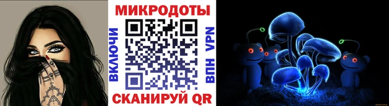 ссылка на мегу ТОР  купить закладку  Нытва  Псилоцибиновые грибы Psilocybe 